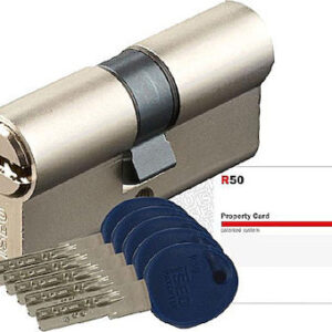 ISEO R50 CYLINDER 60mm (30-30mm) SILVER